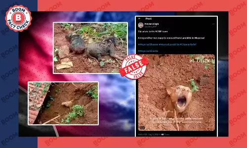 Old & Unrelated Video Shared as Dog Rescued from Landslides in Wayanad