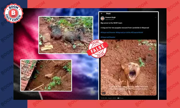 Old & Unrelated Video Shared as Dog Rescued from Landslides in Wayanad