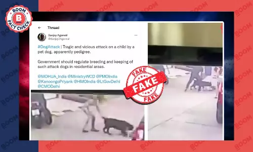 Video Of Dog Attacking A Two-Year Old In Thailand Viral As India