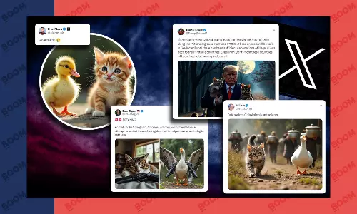 How AI Images Fueled Pet-Eating Rumours About US Immigrants
