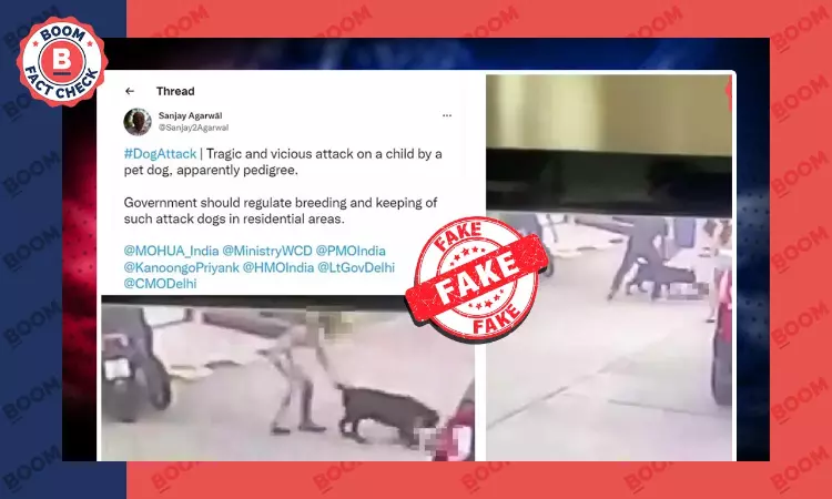 Video Of Dog Attacking A Two-Year Old In Thailand Viral As India