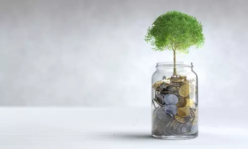 Understanding Fixed Deposit Renewal Options and  Procedures