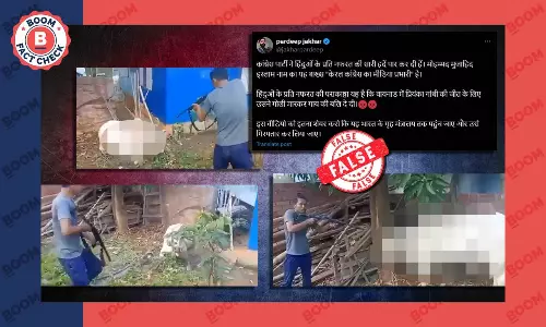 Video Of Bull Being Shot Falsely Linked To Priyanka Gandhis Wayanad Win