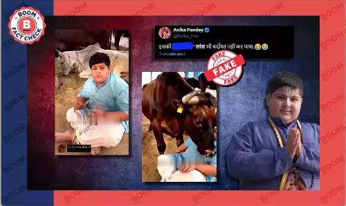 Video Of Influencer Abhinav Arora Getting Hit By Bull Is Manipulated