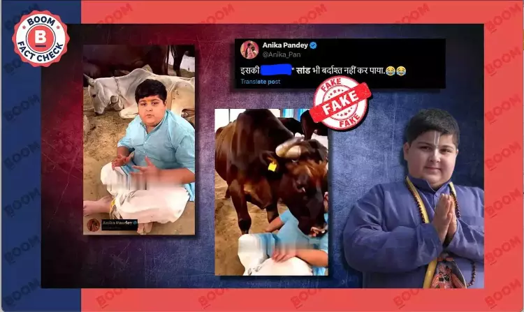 Video Of Influencer Abhinav Arora Getting Hit By Bull Is Manipulated