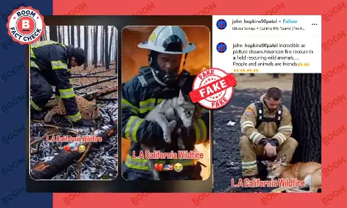 LA Fires: AI Videos Of Firefighters Rescuing Animals Viral As Real Footage