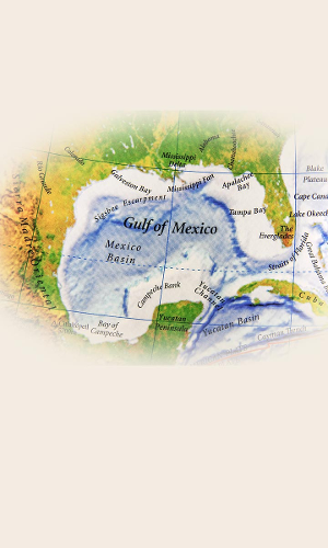 Google Maps to Implement Trumps Executive Orders Renaming Gulf of Mexico and Mount Denali
