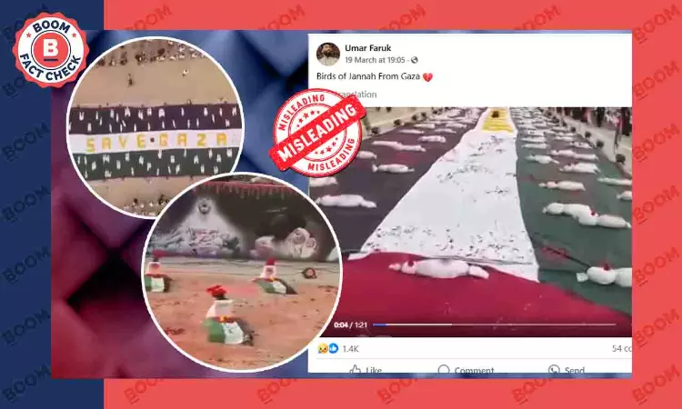 Video From Pro-Palestine Rally In Pakistan Viral As Victims In Gaza