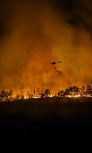 Study Flags Forest Fire Threat in Nearly Half of Goas Green Cover