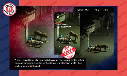 Video Of Lion Not Attacking Man Asleep On The Pavement Is AI-Generated