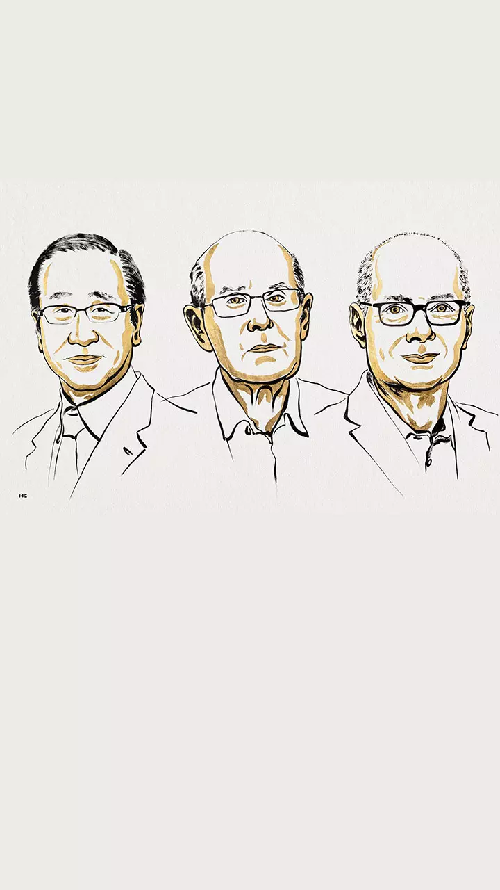 organic reactions 全16巻 EIGHT PRINT（1960） organic