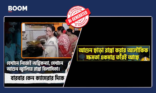 Video Of Mamata Banerjee Preparing Kali Puja Bhog Without A Flame Is Doctored
