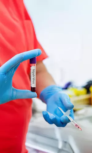 Nipah Virus Threat: Jharkhand Intensifies Monitoring Following Bengal Cases