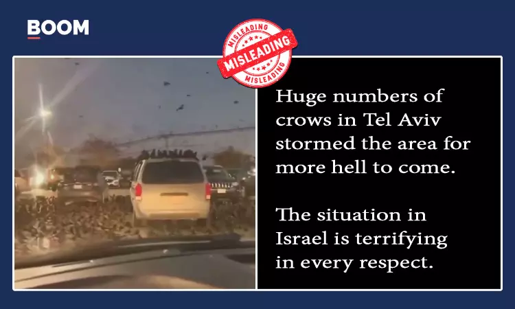 Old Video Of Flying Crows Viral As Recent Scene From Israel