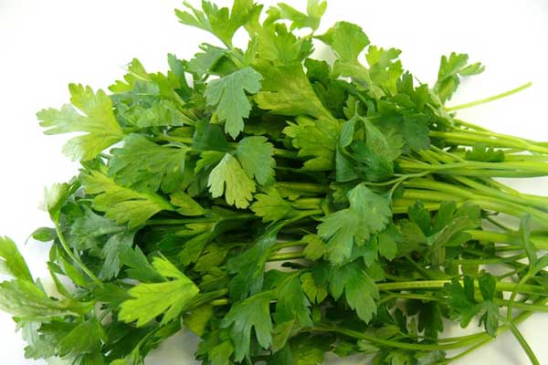 Parsley-Flat-Leaf