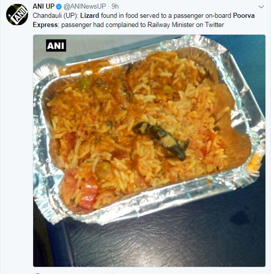 Passenger Finds Lizard In Veg Biryani Nearly A Week After CAG Slams Railway Food 