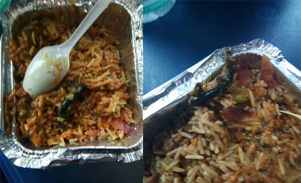 Passenger Finds Lizard In Veg Biryani Nearly A Week After CAG Slams Railway Food 