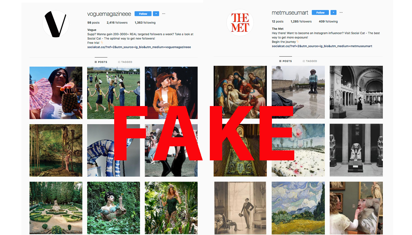 Fake Instas