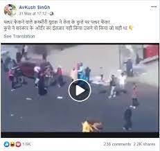 stone thrown at dogs