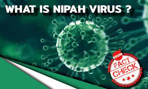 nipah virus