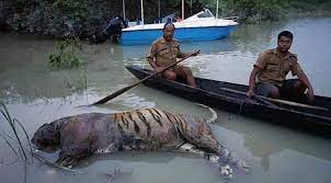 Image 3 Assam floods