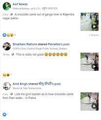 Crocodile in Bihar viral on fb