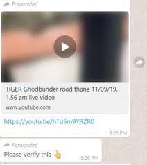 Tiger spotted viral on facebook