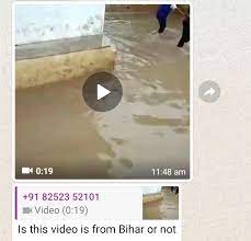 Crocodile in Bihar message